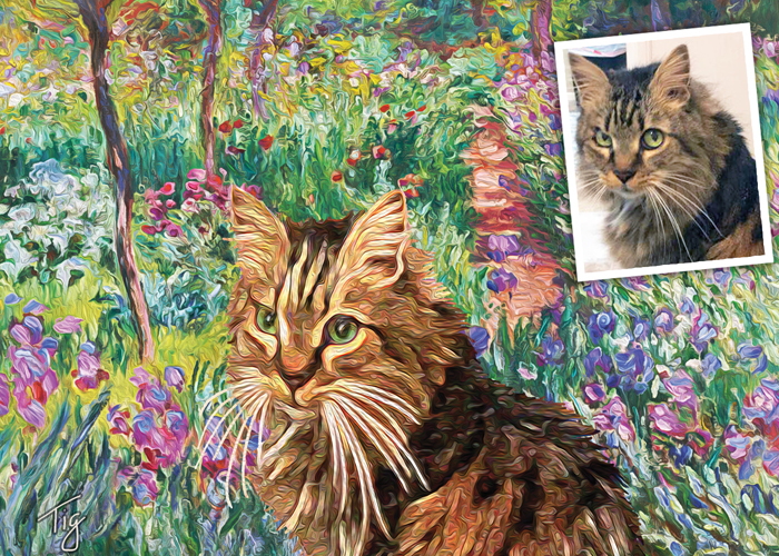 Maine Coon with Monet Garden Path