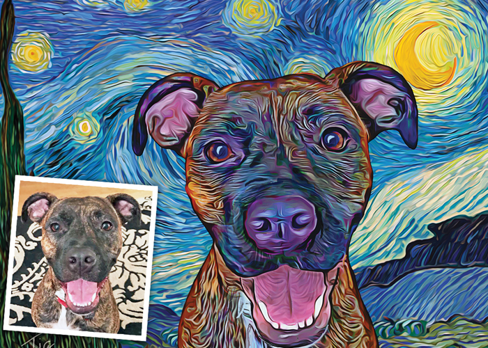 Starry Night Brindle Pittie